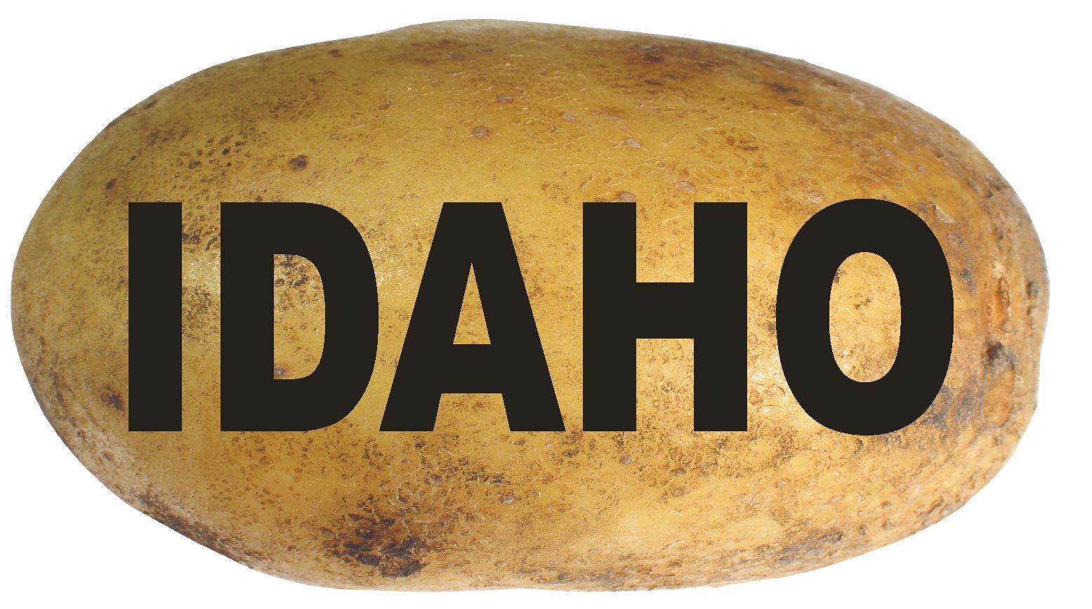 Idaho Oval Bumper Sticker or Helmet Sticker D2328 State Euro Oval Potato