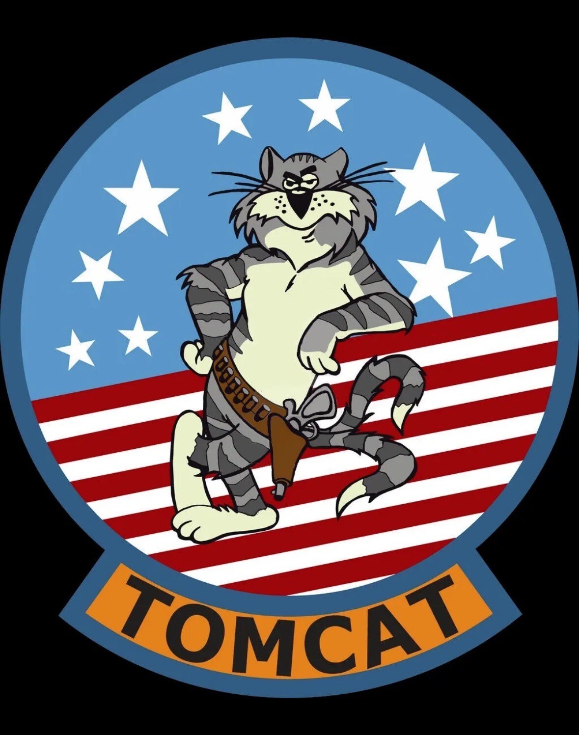 Grumman F-14 Tomcat Logo Die Cut Laminated Vinyl Decal Multiple Sizes