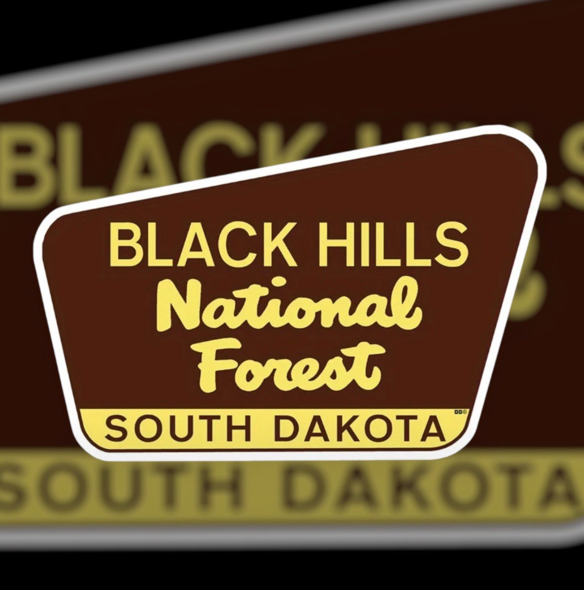 BLACK HILLS NATIONAL FOREST SOUTH DAKOTA Retro 3.75” Inch Vinyl Sticker Decal