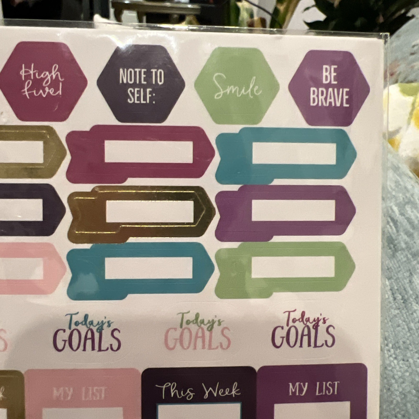 Pen and Gear Stickers 4 Sheets Todays Goals Weekly Planner Shopping To Do Lists