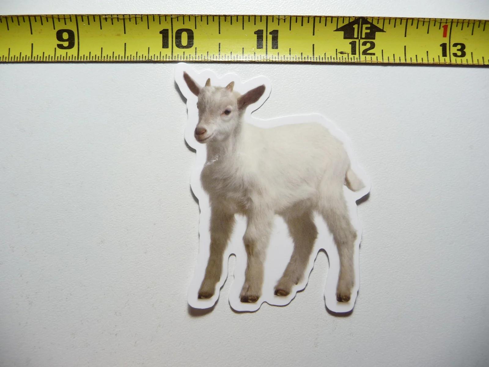 BABY GOAT SMALL STICKER DECAL WILDLIFE PRESERVE NATURE ANIMAL FUNNY
