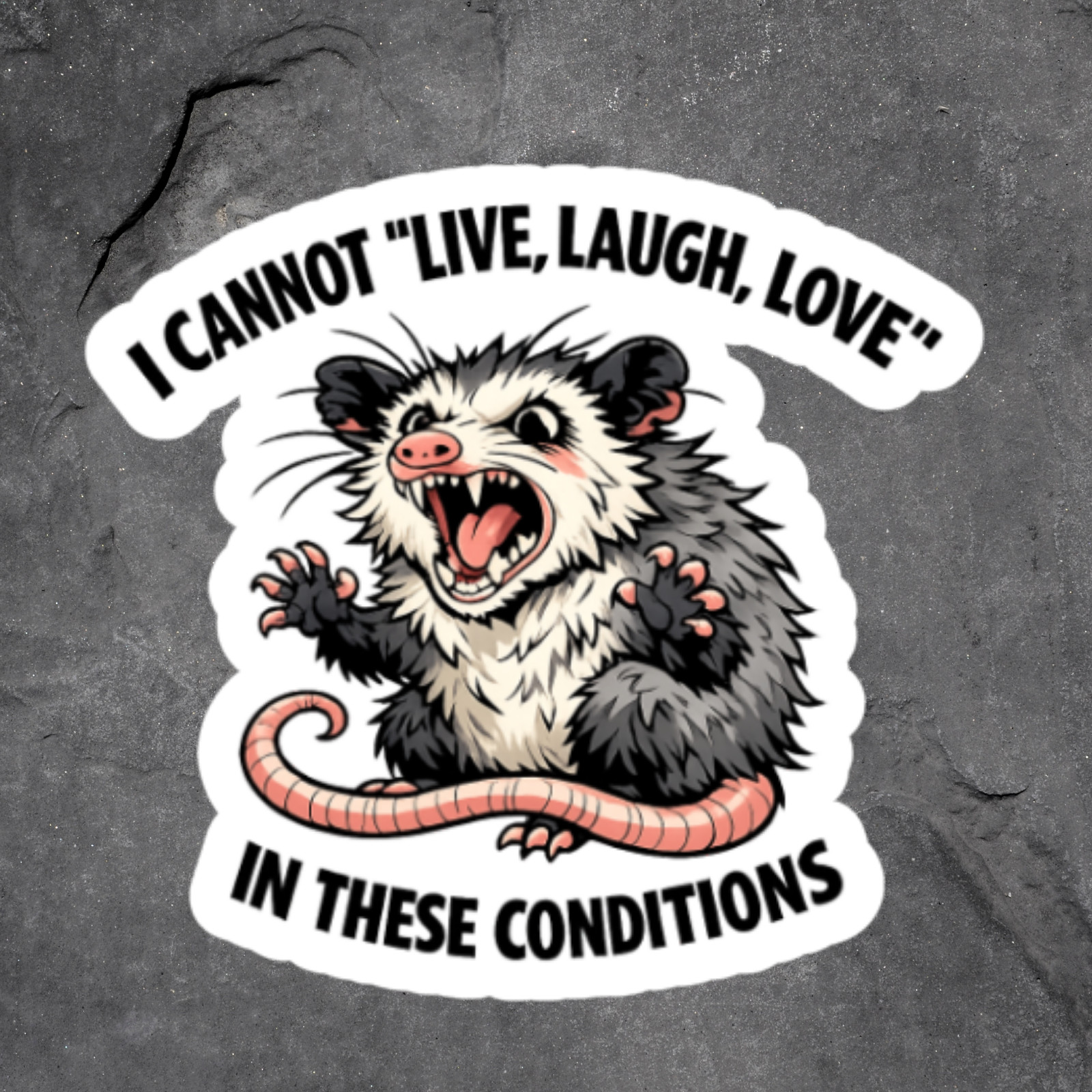 Opossum Sticker Vinyl Decal Angry Possum Funny Meme Sarcastic Humor