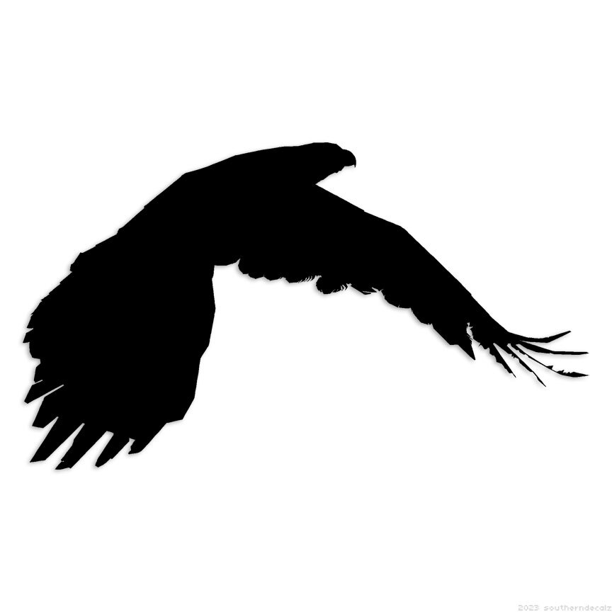 Crow Bird – Decal Sticker – Multiple Colors & Sizes – ebn6087