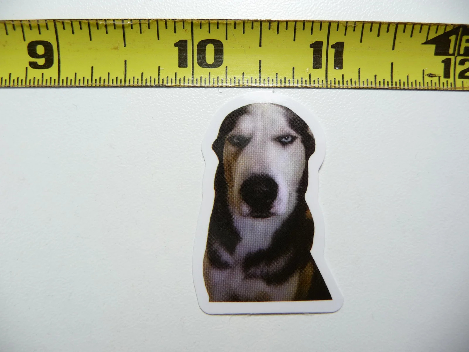 FUNNY DOG SMALL STICKER DECAL AX148 HYPNOTIZE SIZE FUN HI PET FUNNY