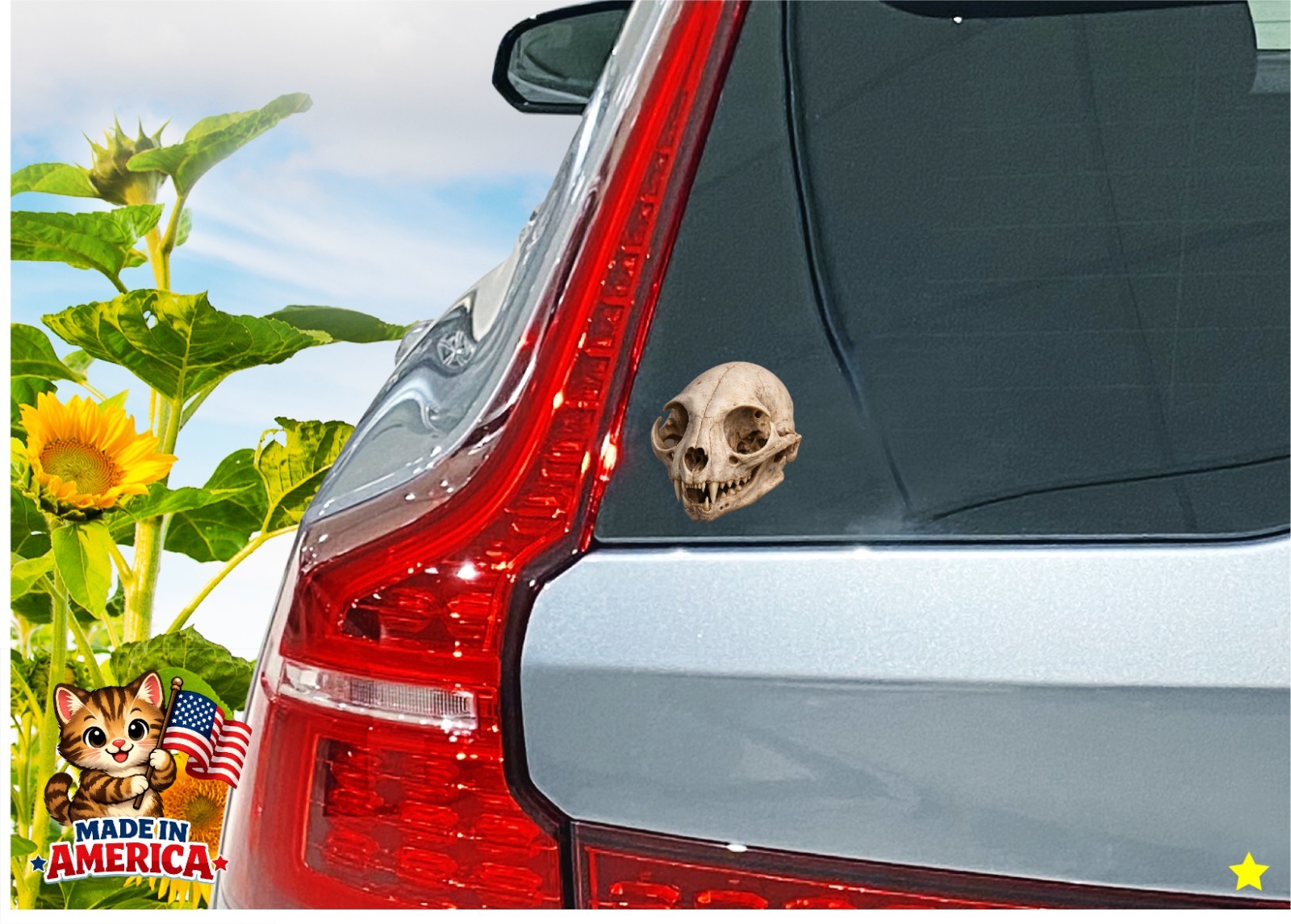 Cat Skull Decal Sticker Realistic Skeleton Bones Goth Oddities Feline Vet RVT