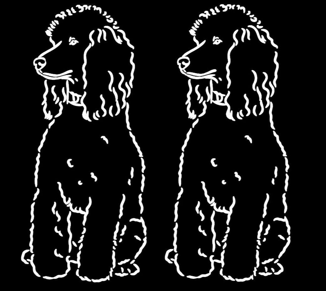 Poodle Dog Graphic Two 6" White Vinyl Decals Car Windows Laptop Tablet