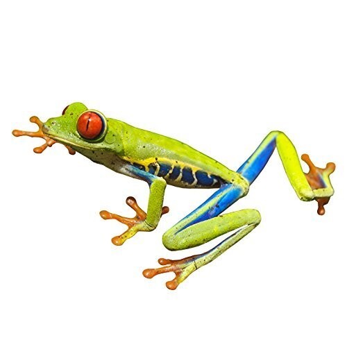 Red Eyed Tree Frog Decal Vinyl Decal 4.5" tall x 7.5" wide – Indoor/Outdoor
