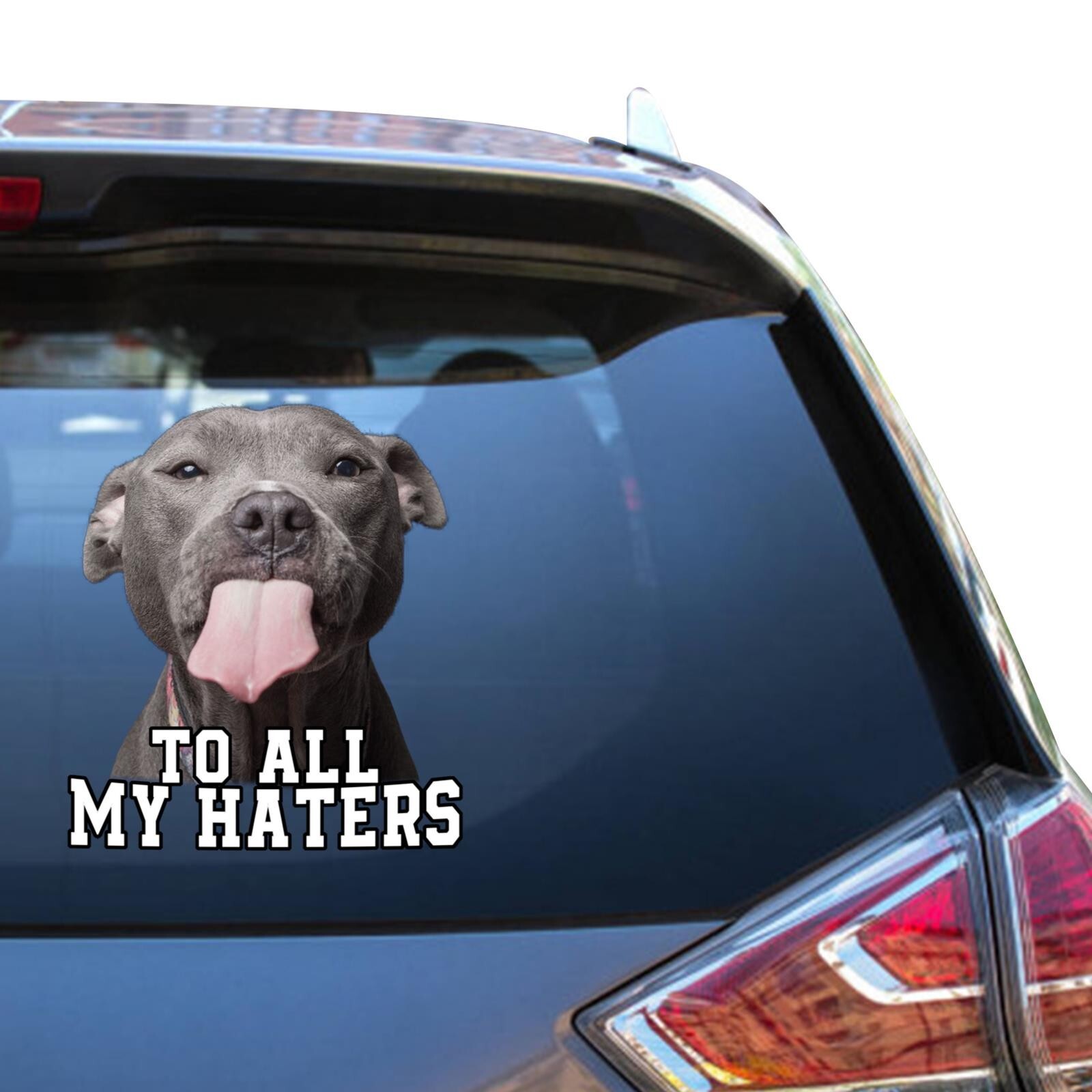 Pitbull Decals Pitbull Car Sticker Funny To All My Haters Stickers Meme Decal