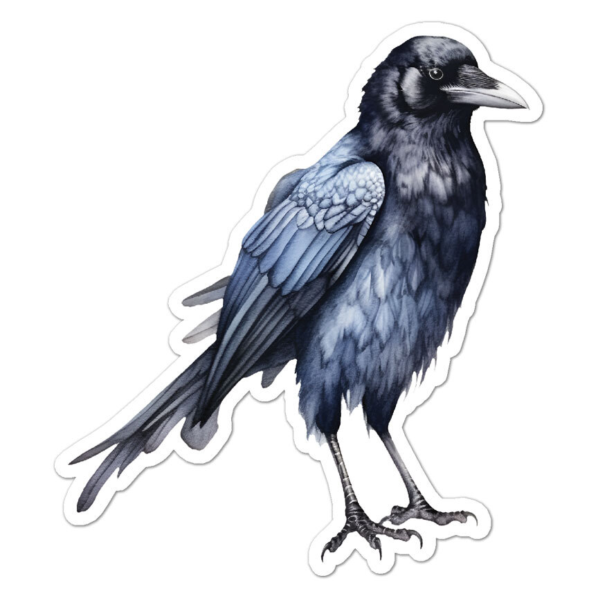 Raven Crow , Vinyl Decal Sticker, Indoor Outdoor, 3 Sizes, #9863