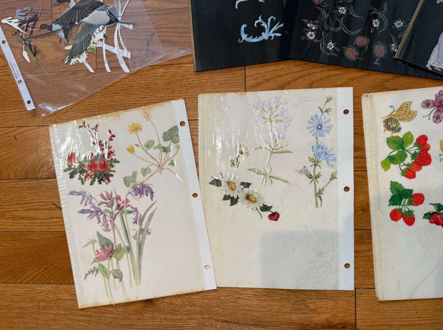 Decoupage Cutouts Vintage Floral Birds Animals People Vintage