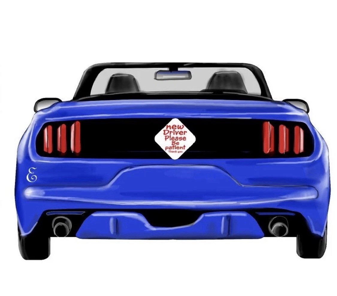 New Driver Please Be Patient Car Bumper Sticker Decal