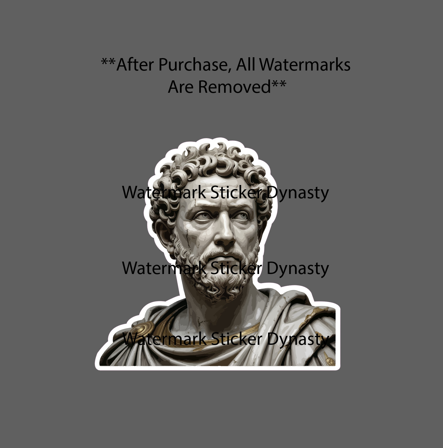 Marcus Aurelius Sticker Waterproof Decal Marble Statue Caesar Rome Gift NEW