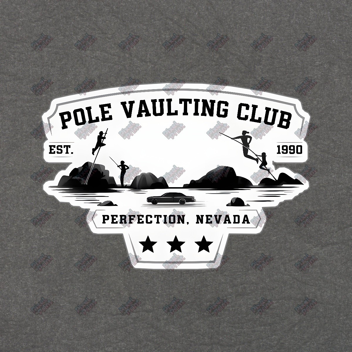 Vintage Pole Vaulting Club Sign Retro Sports Decor Established 1990 #19096