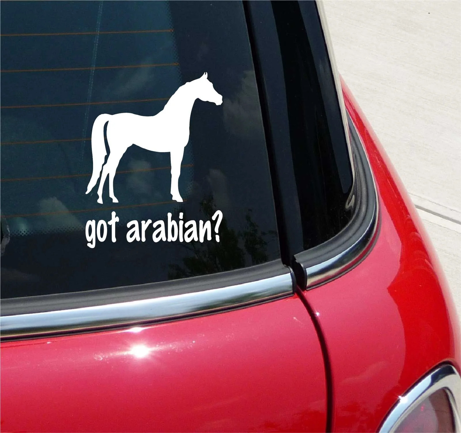 GOT ARABIAN? ARABIAN HORSE GRAPHIC DECAL STICKER ART CAR WALL DECOR