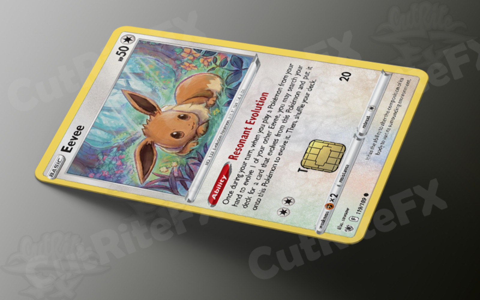 Custom Credit Card Skin