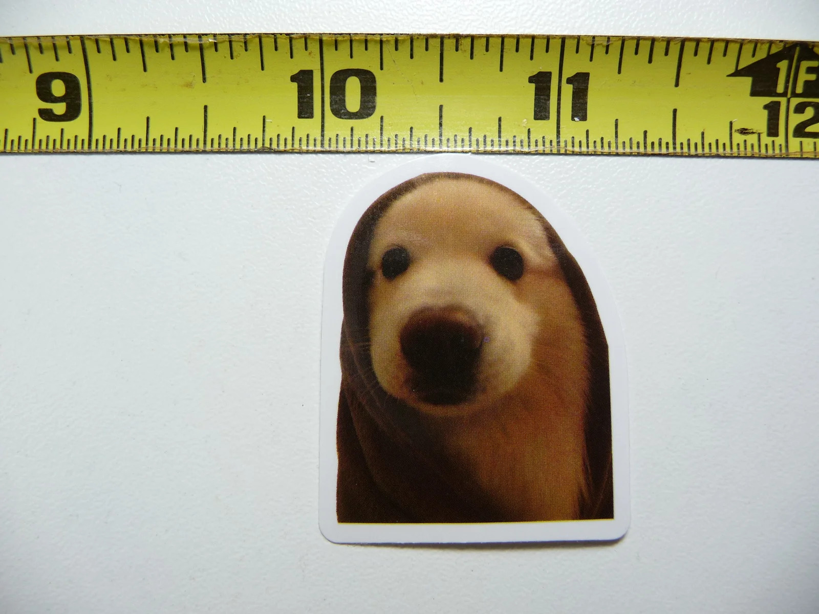 FUNNY DOG SMALL STICKER DECAL AX145 TOWEL SIZE FUN HI PET FUNNY