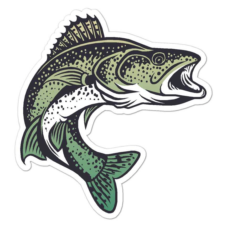 Walleye Fish, Vinyl Decal Sticker, Indoor Outdoor, 3 Sizes, #8488