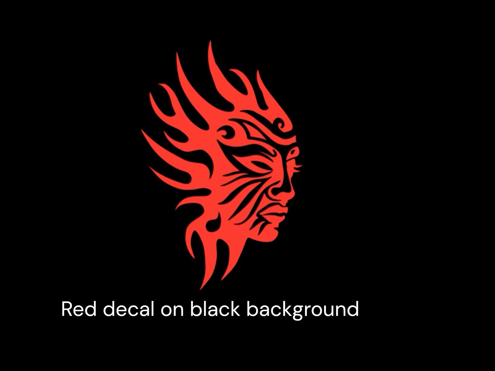 Tribal female warrior Decal for car Windows Laptops most Smooth Surfaces