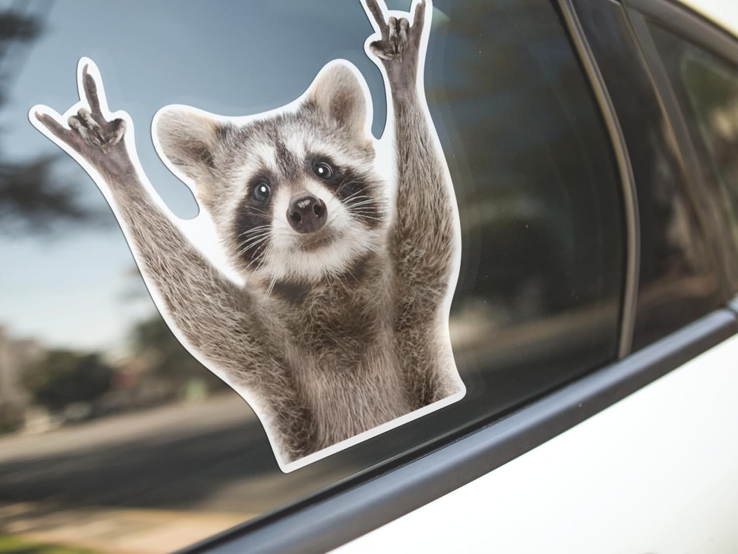 Rocking Raccoon Sticker, Funny Raccoon Cute Car Decal 5.5-Inches Decal Car La…