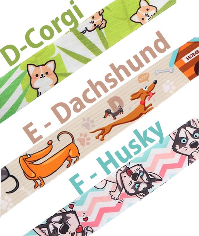 VET Vinyl Stickers [B]Future VETERINARIAN Animal Doctor DOG CAT~WATERPROOF Decal