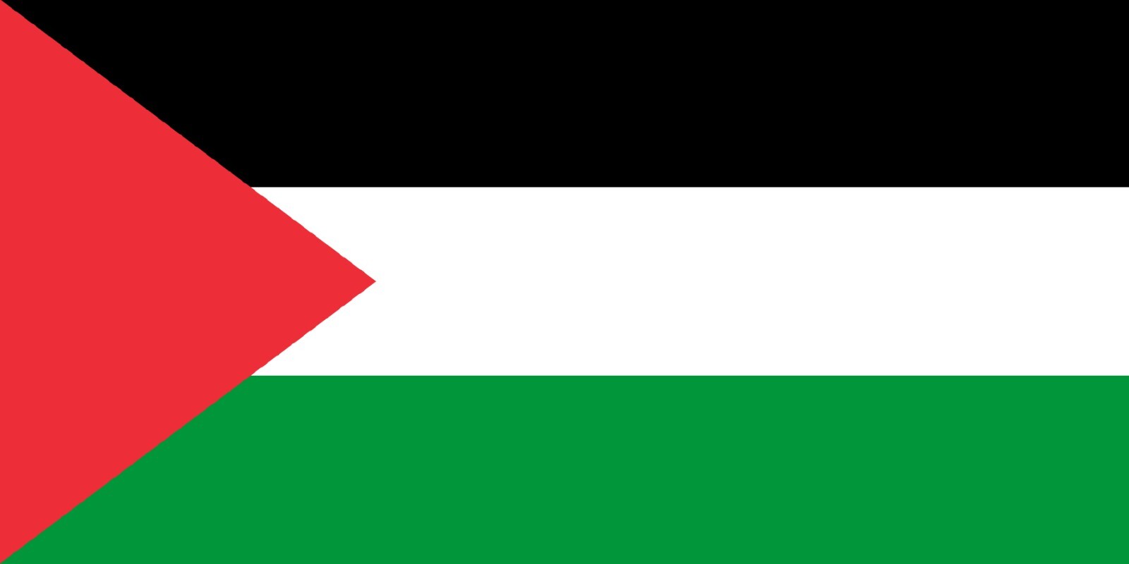 Palestine Country Flag Vinyl Decal Sticker Car Truck Bumper Laptop Tumbler Mug