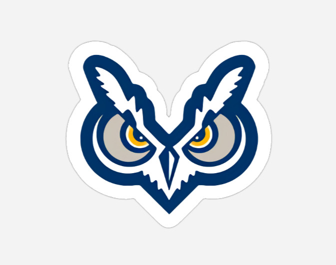 Owl Head Sticker