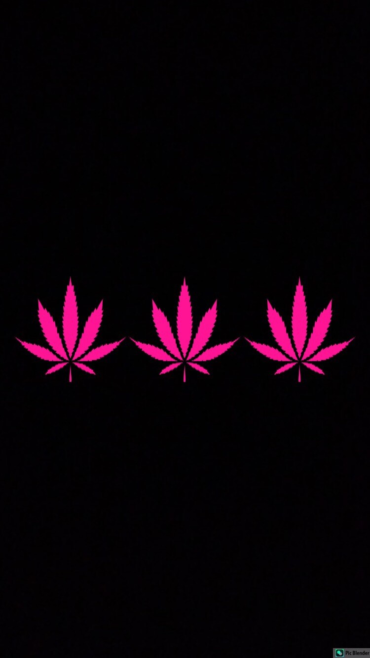 MARIJUANA POT LEAF Wholesale Lot 3 Vinyl Decal Stickers Window Bumper 3.5”