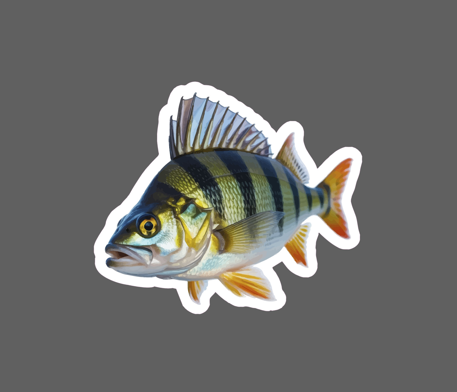 Perch Sticker Animal Fish Outdoor Wildlife Nature Gift Waterproof NEW
