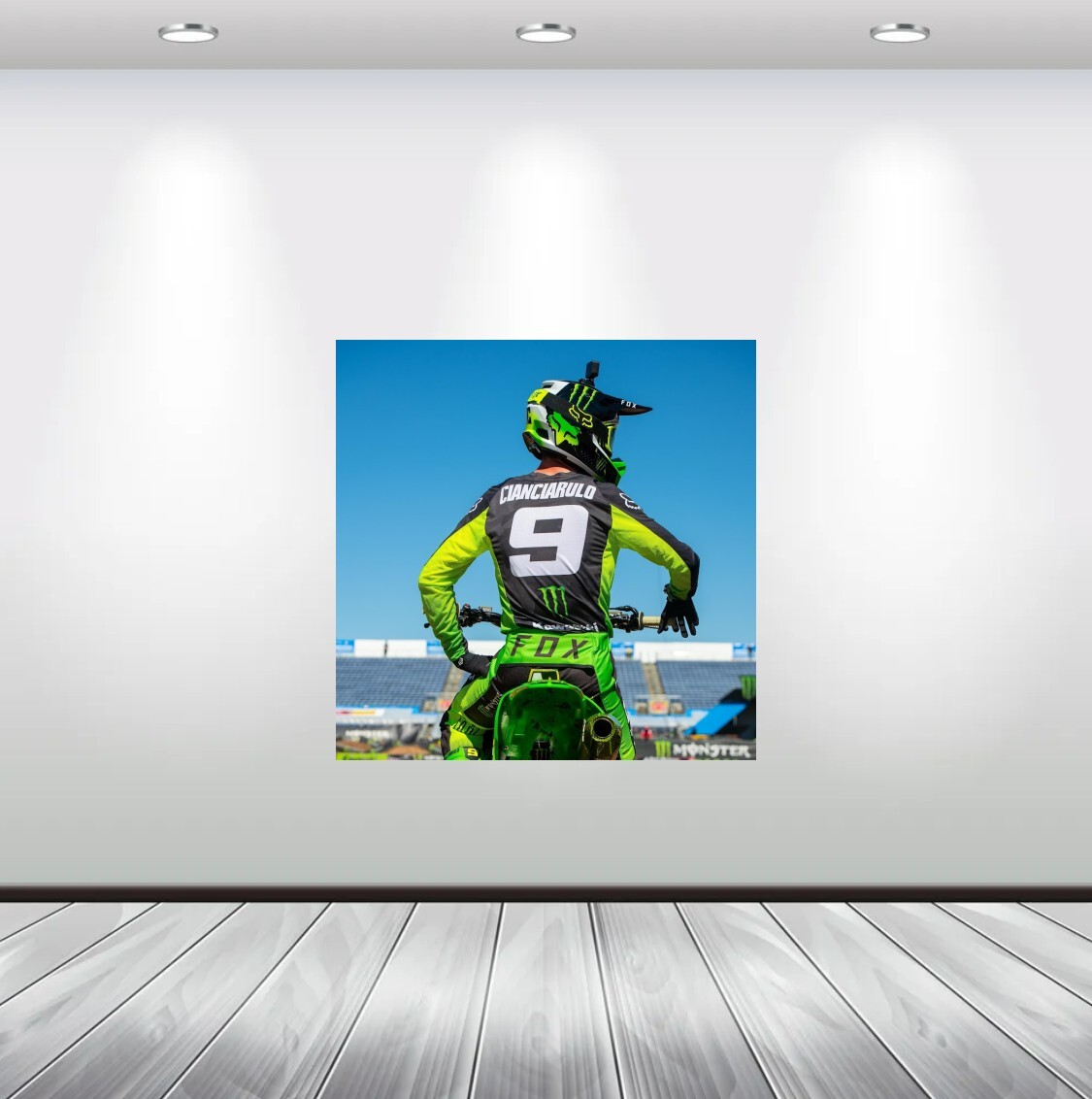 Adam Cianciarulo Wall Vinyl Decal Graphic (Removable Adhesive Backing)