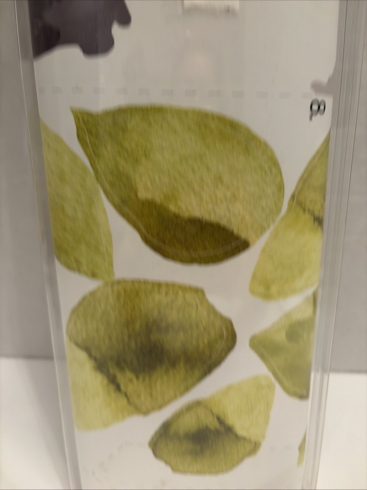 RoomMates RMK2662GM Birch Trees XL Giant Wall Decals 52pc Sealed Discontinued