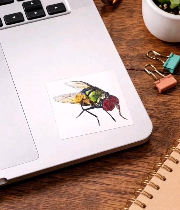Set of 6 Fly Stickers 2×2 – Hand Drawn Insect Art – Original Illustration Decals