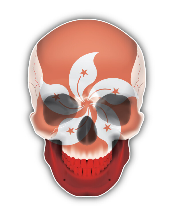 Hong Kong Skull Flag Car Bumper Sticker Decal
