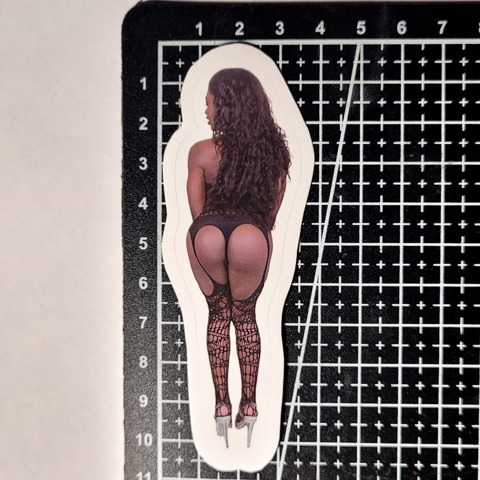 + BONUS Adult Film Actress Vinyl 13 HD Stickers Lot Booty PAWG Sexy Erotic Decor