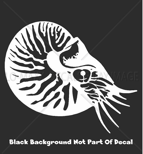 Nautilus Sea Life Contemporary Art Nature Ocean Die Cut Vinyl Decal Sticker