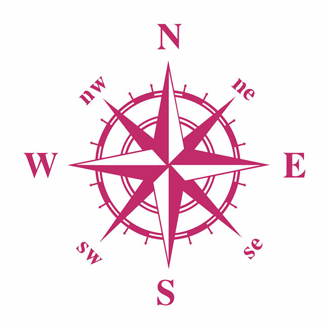 Compass Navigation Automotive Die Cut Decal Multi colors Oracal 651 brand & more