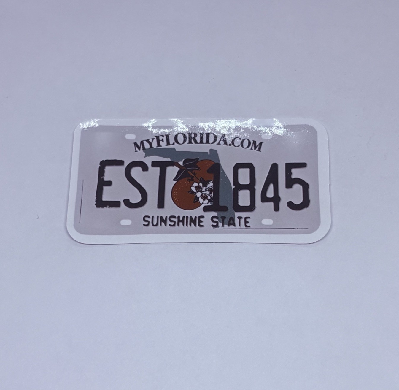 Florida Novelty License Plate Sticker Sunshine Art Decal Vinyl Souvenir Tc6