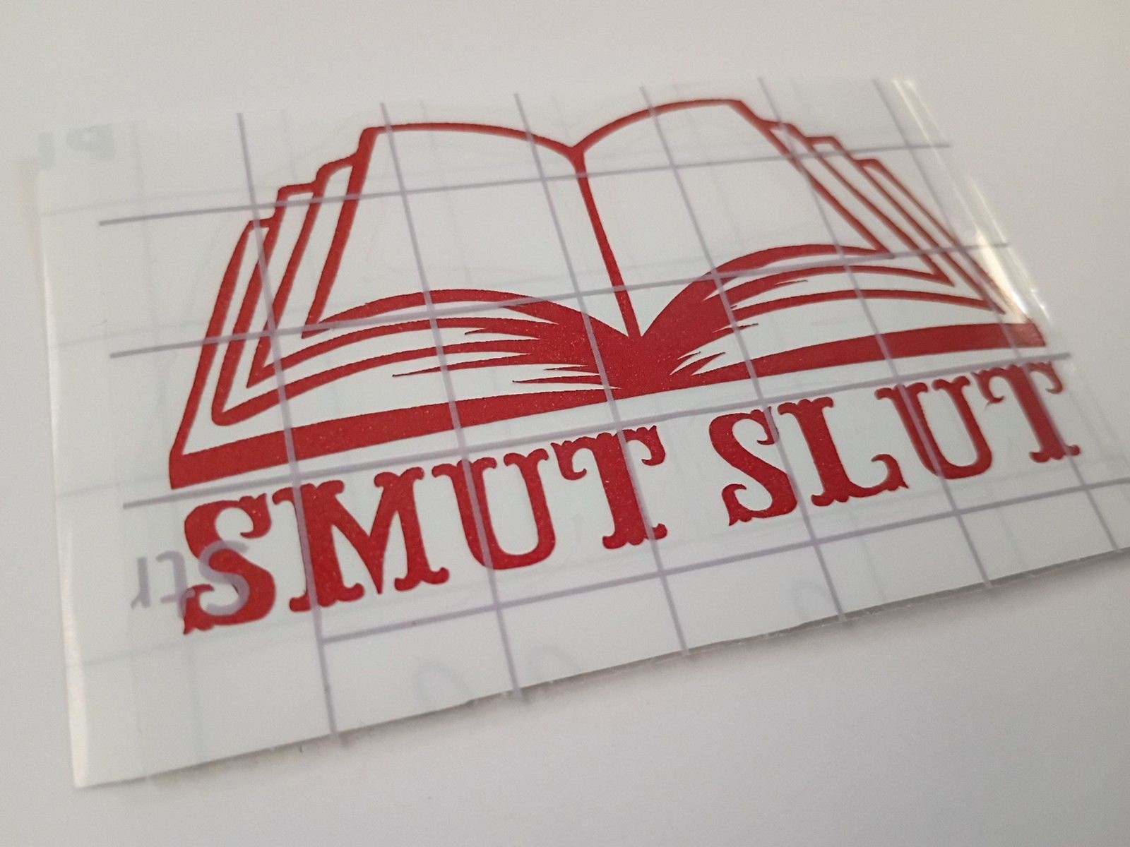 Smut reader Vinyl Decal romance book Sticker Car Window Laptop Decals 3 in