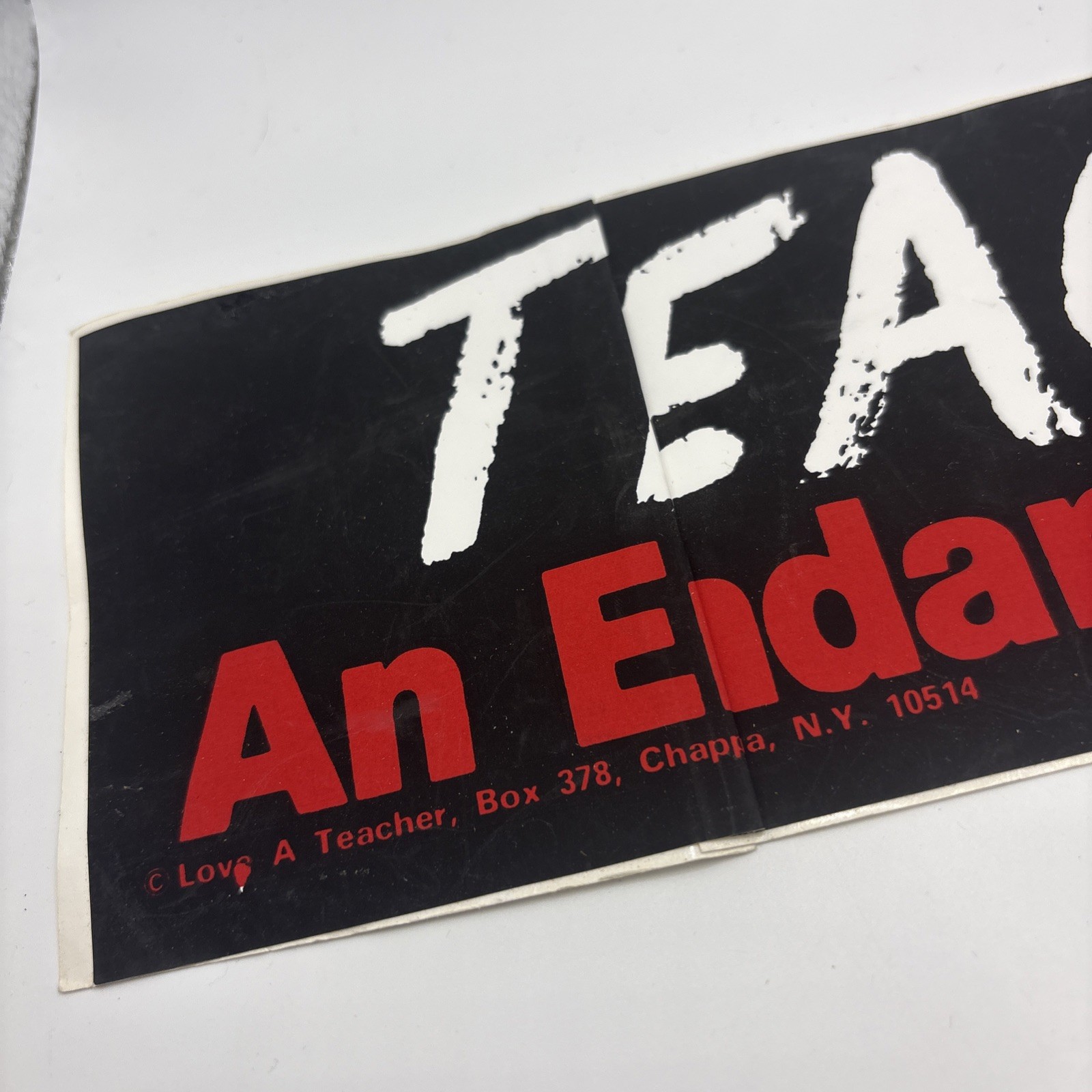 Vintage Teaching An Endangered Profession Love A Teacher Bumper Sticker Read