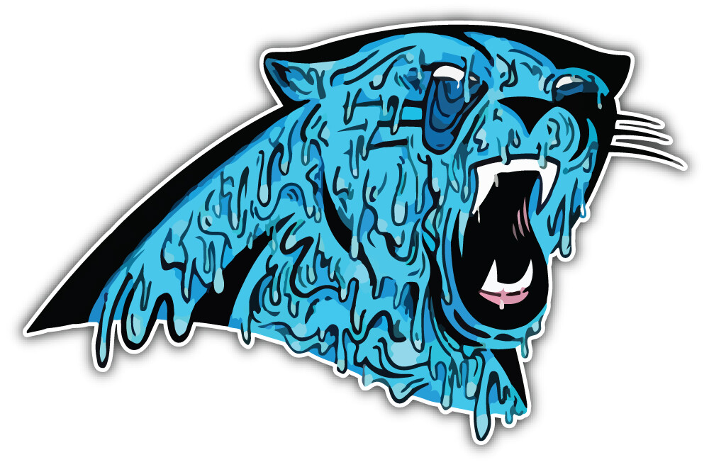 Carolina Panthers NFL Football Sport Logo Car Bumper Sticker Decal "SIZES"