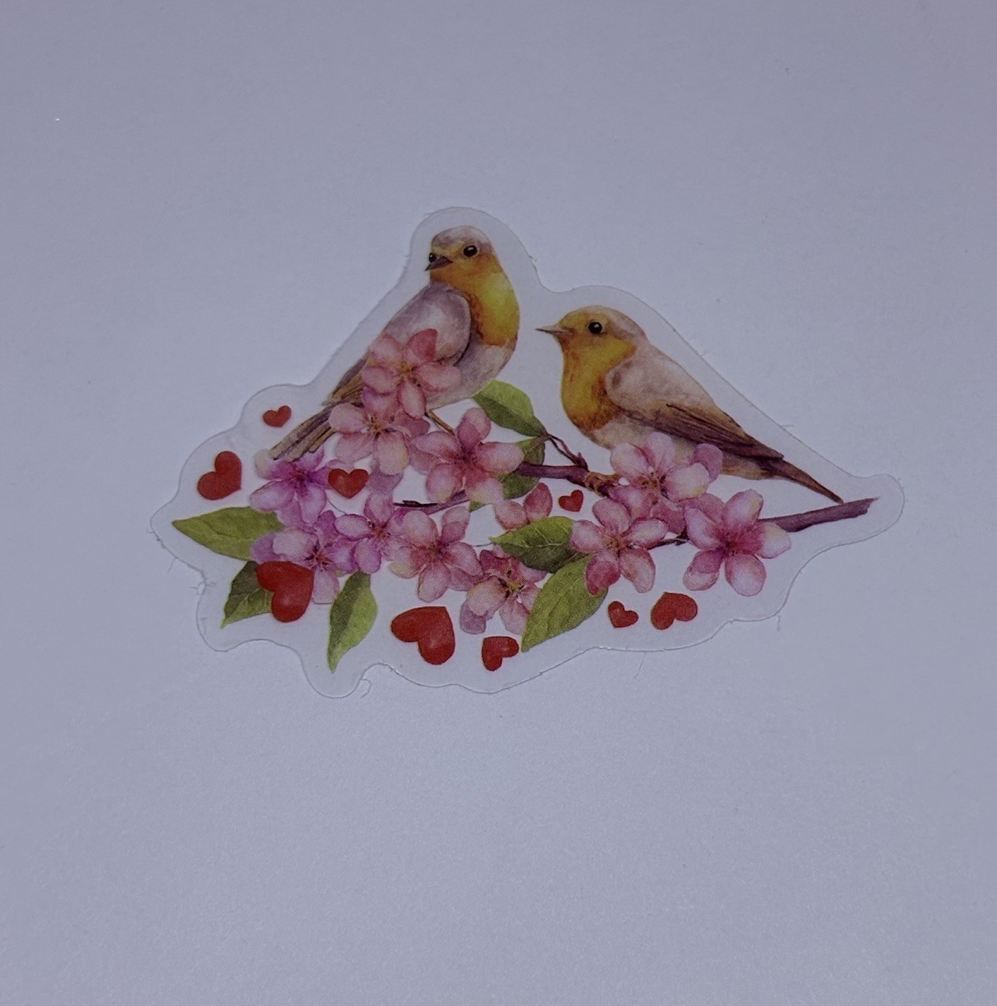 Robin Birds On Tree Sticker Animal Art Transparent Journal Decal Vinyl Tc6