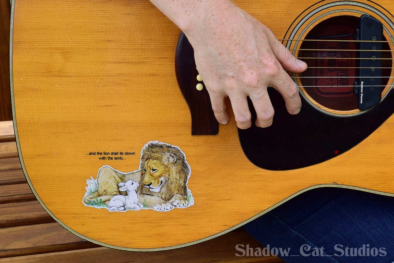 Lion and Lamb Die Cut Clear Vinyl Sticker Christian Religious Premium Quality
