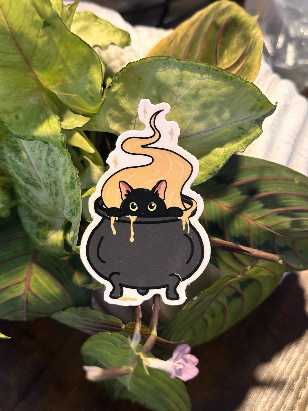 CUSTOM MADE black cat inside a cauldron sticker