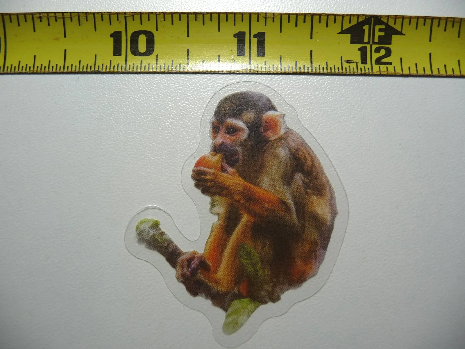 GUIANAN SQUIRREL MONKEY SMALL STICKER DECAL WILDLIFE COLORFUL ZOO