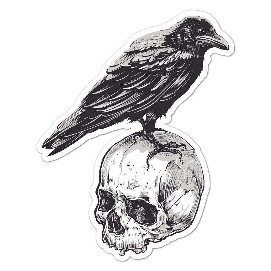 Crow Skull Raven, Vinyl Decal Sticker, Indoor Outdoor, 3 Sizes, #8996