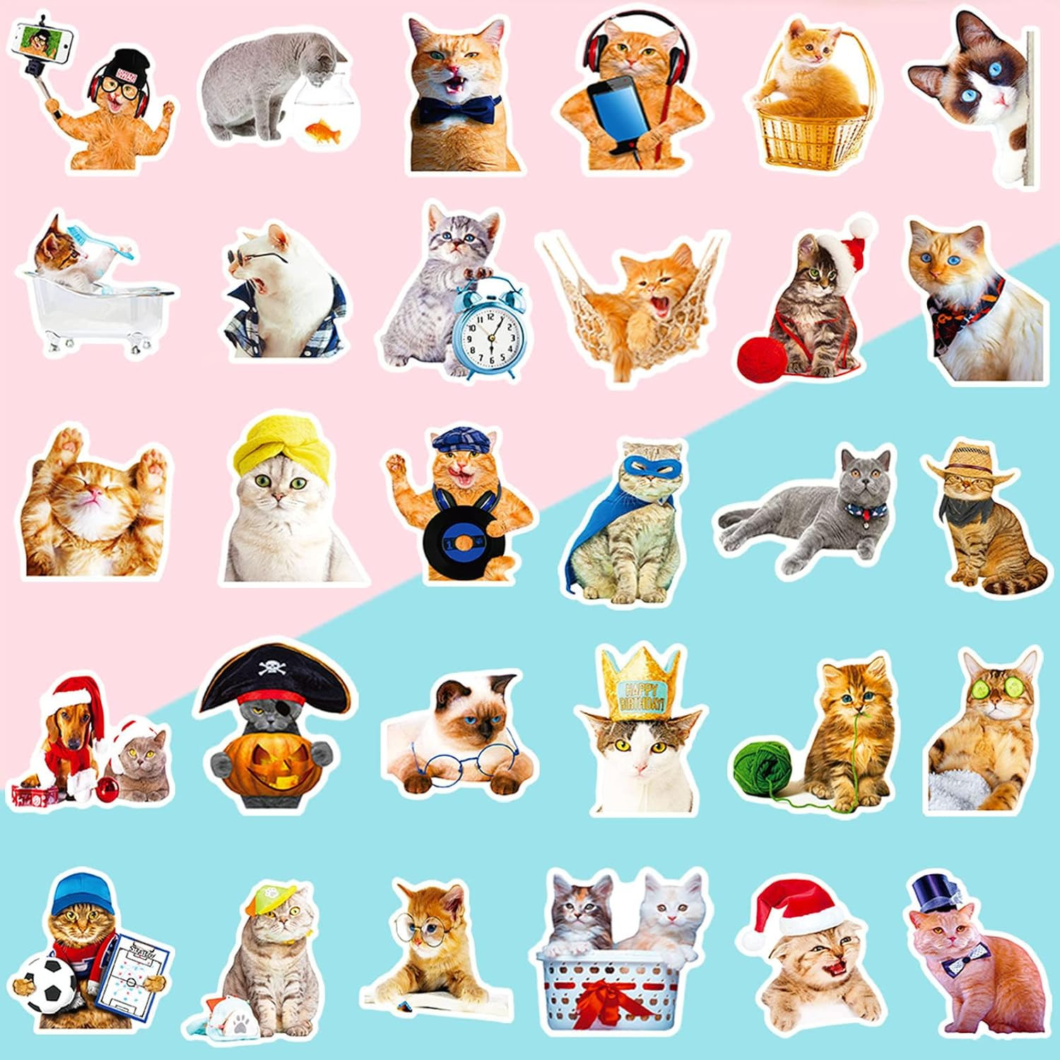 Cat Stickers for Kids Teens Girls Adults, 100 Pcs Cute Cat Stickers, Vinyl Water