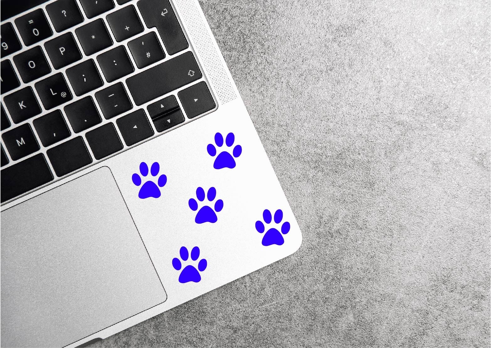 Set of 24 – 1 Inch Pawprint Decal Bundle Sticker Pet Dog Cat Paw Prints Breeds