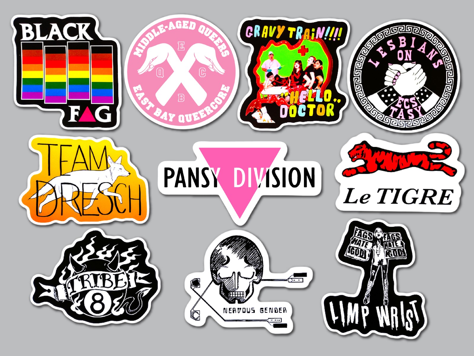 Queercore / Punk Vinyl Sticker Lot (10 Pack) SET 1 lgbtq hardcore riot grrrl gay