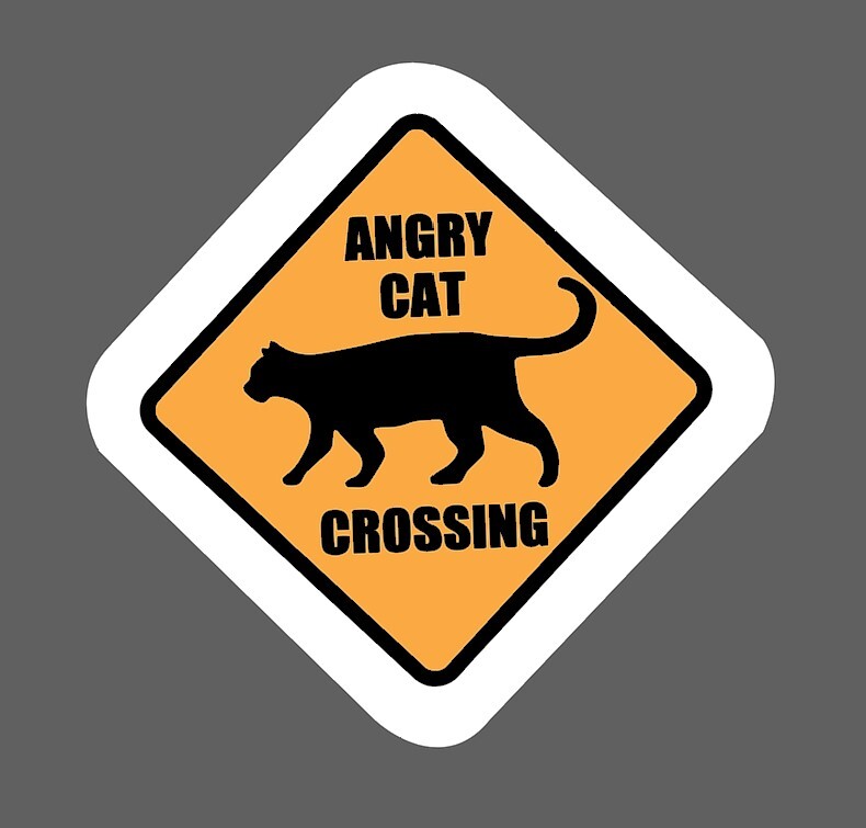 Angry Cat Crossing Sticker Waterproof – Buy Any 4 For $1.75 Each Storewide!