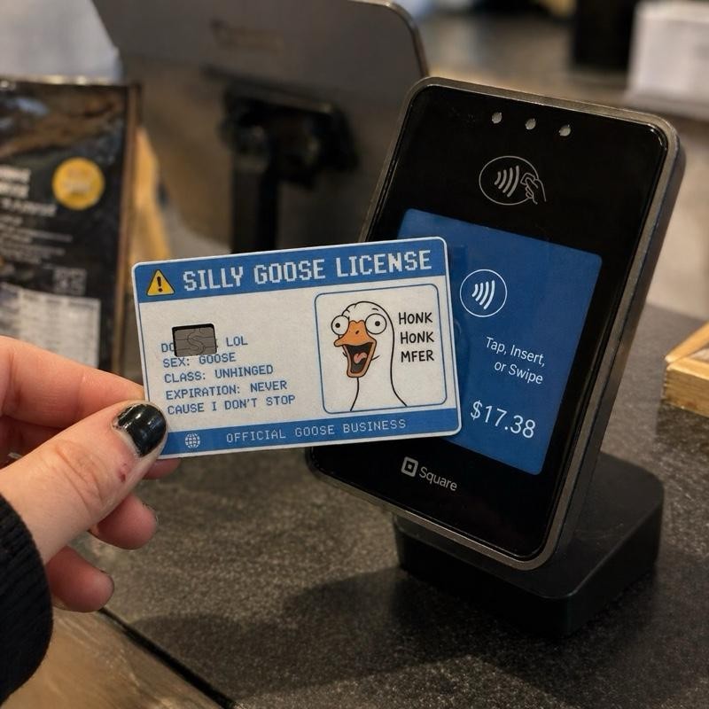 Silly Goose Credit Debit Card Skin Cover Sticker Chip Funny Decal – 2 Pack