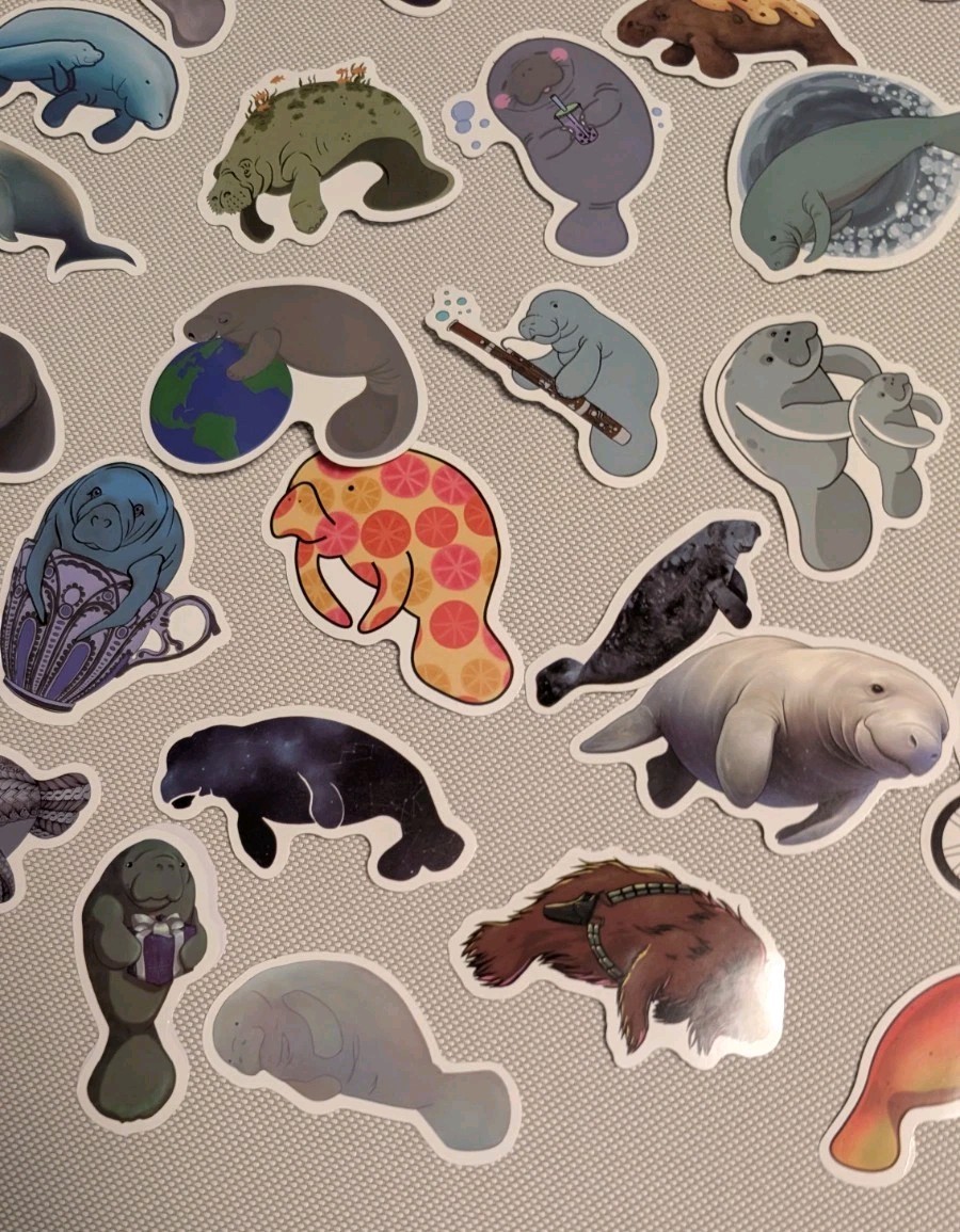 MYSTERY MIXED LOT OF 10 MANATEE GRAPHIC DECAL STICKER ART CAR WALL LAPTOP DECOR